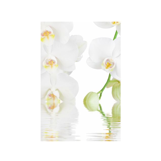 Autocolantes para vidros flores Spa Orchid - White Orchid