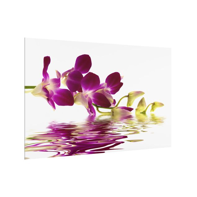 painéis antisalpicos Pink Orchid Waters