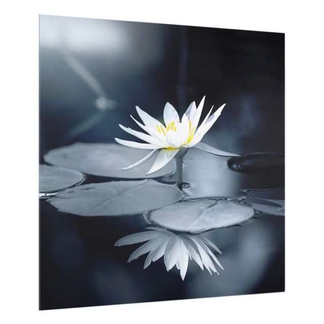 painel anti salpicos cozinha Lotus Reflection In The Water