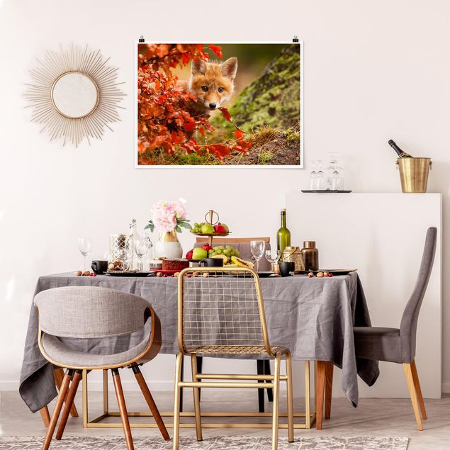 quadro com paisagens Fox In Autumn