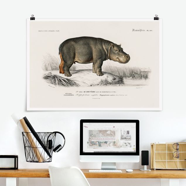 decoraçao para parede de cozinha Vintage Board Hippo