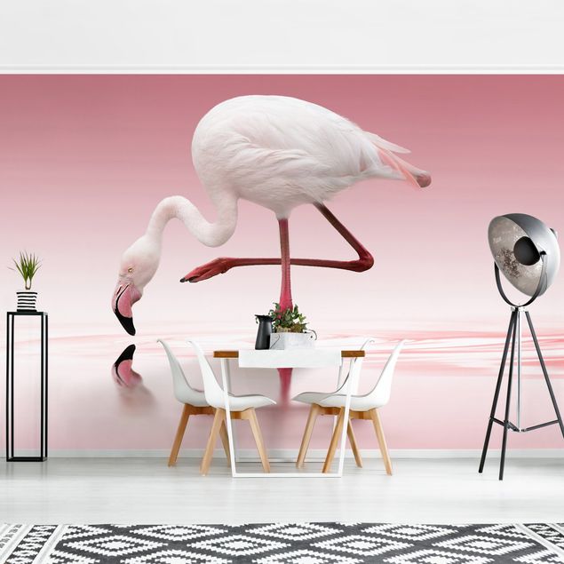 papel de parede para quarto de casal moderno Flamingo Dance