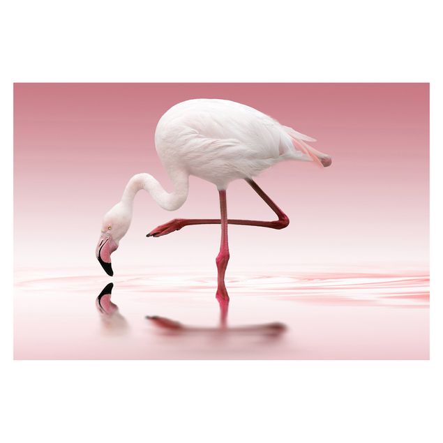 papel parede rosa Flamingo Dance