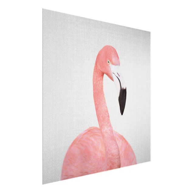 Quadros em vidro animais Flamingo Fabian