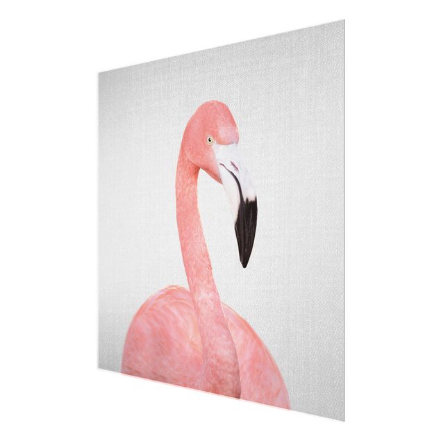 quadros para parede Flamingo Fabian