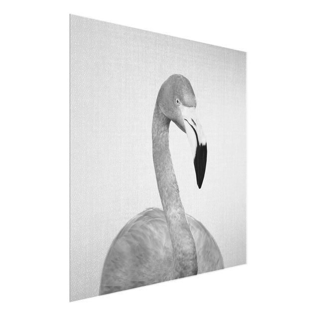 Quadros em vidro animais Flamingo Fabian Black And White