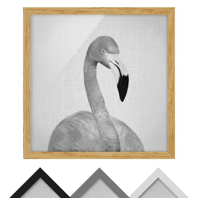 Quadros decorativos Flamingo Fabian Black And White