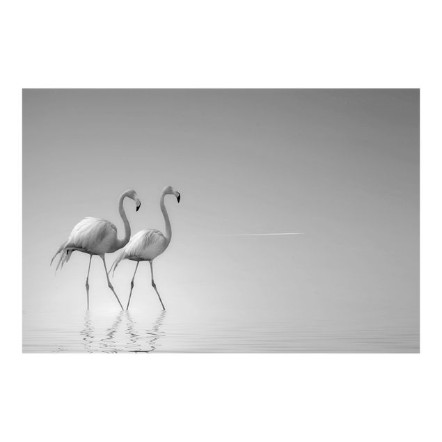 papéis de parede de animais Flamingo Love Black And White