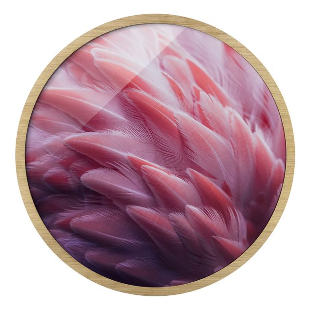 quadro com moldura Flamingo Feathers Close-Up