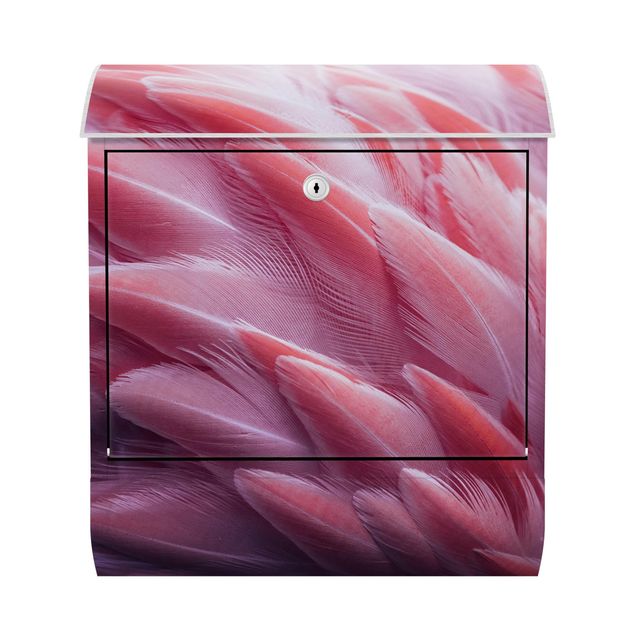 Caixas de correio flores Flamingo Feathers Close-Up