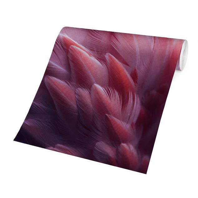 papel parede de flor Flamingo Feathers Close-Up