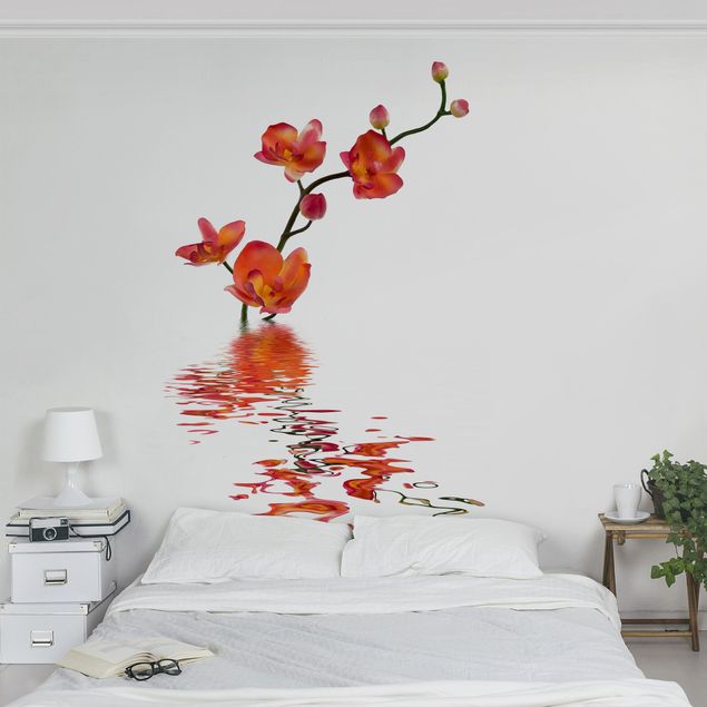 papel de parede moderno Flamy Orchid Waters