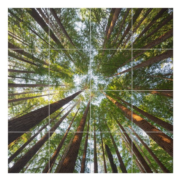 Películas para azulejos em verde Sequoia Tree Tops