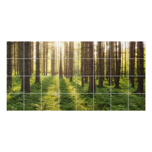 Películas para azulejos em verde Sunrays in the green forest