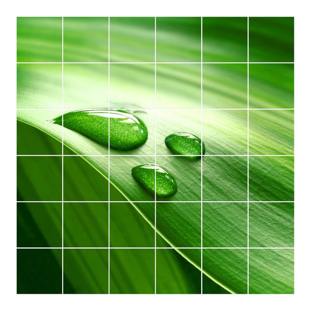 Películas para azulejos em verde Banana Leaf With Drops