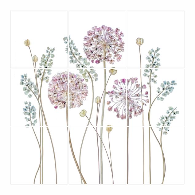 vinil autocolante para azulejos Allium Illustration