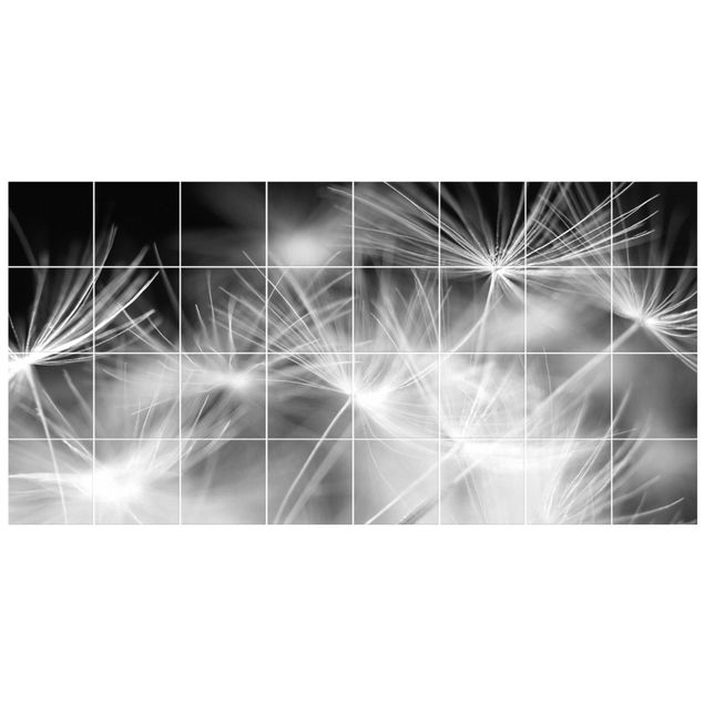 Películas autocolantes Moving Dandelions Close Up On Black Background