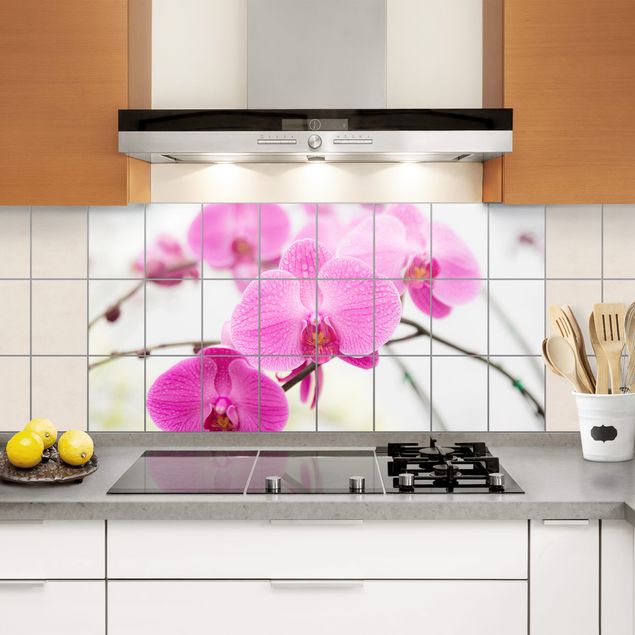 películas adesivas Tile Mural Close-up of orchid
