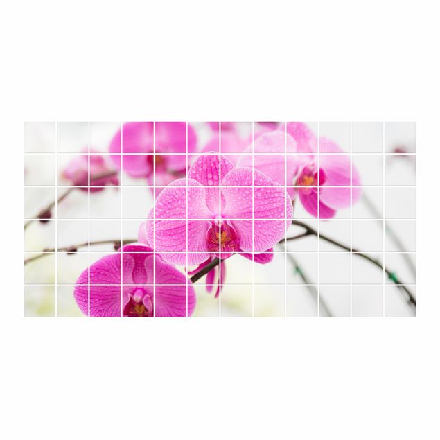 adesivos para azulejos Tile Mural Close-up of orchid