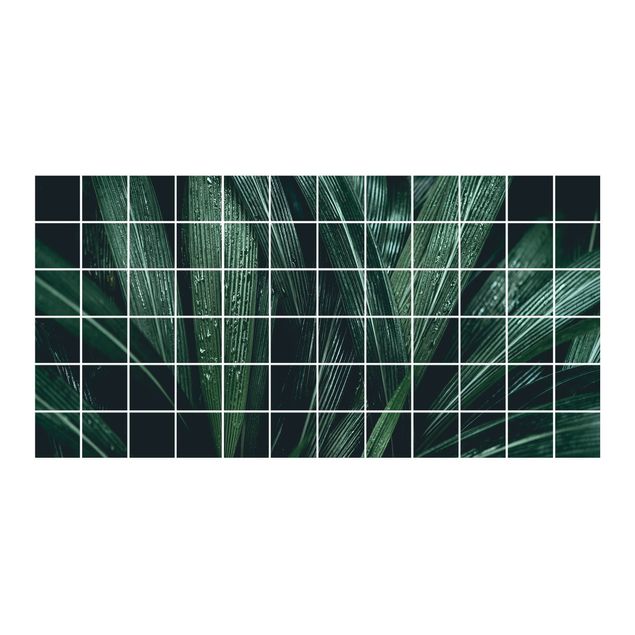 películas adesivas Green Palm Leaves