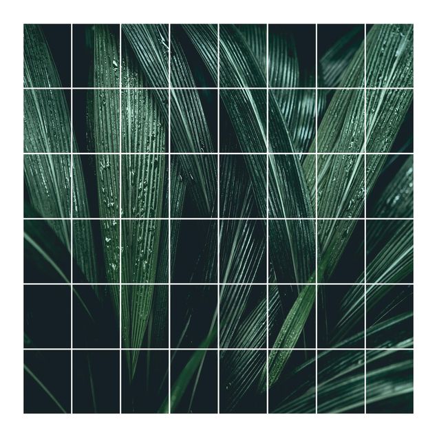 Películas para azulejos Green Palm Leaves