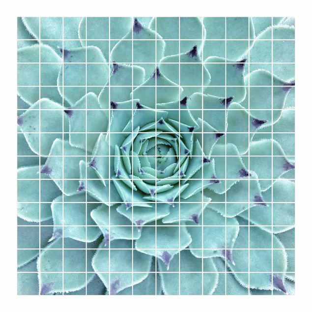 Películas para azulejos Cactus Agave