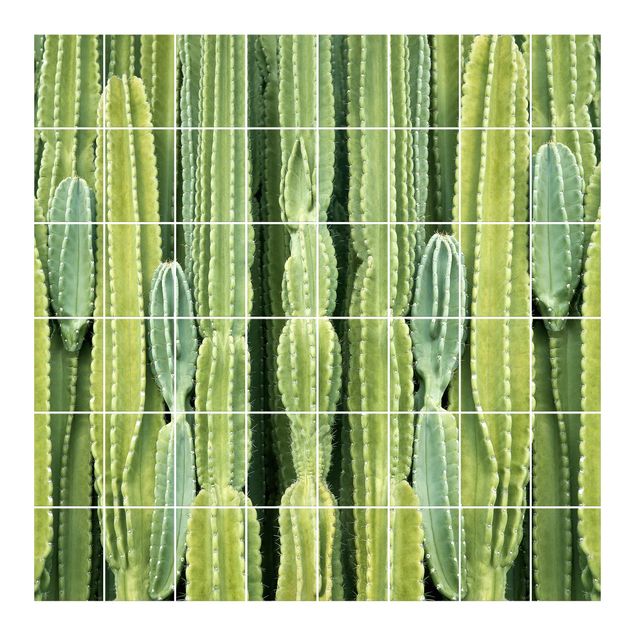 Películas para azulejos Cactus Wall
