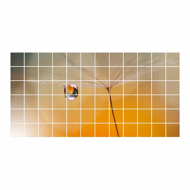 Autocolantes para azulejos Dandelion In Orange