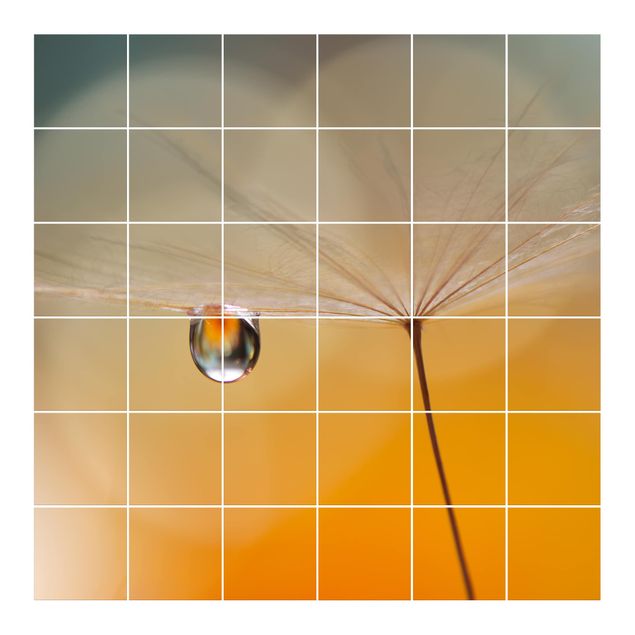 Películas para azulejos Dandelion In Orange