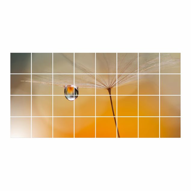 Películas para azulejos Dandelion In Orange