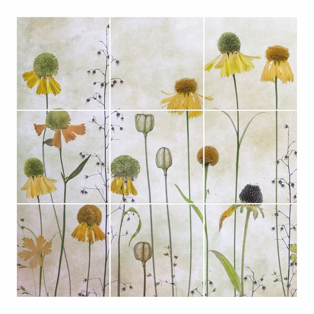 Películas para azulejos Delicate Helenium Flowers