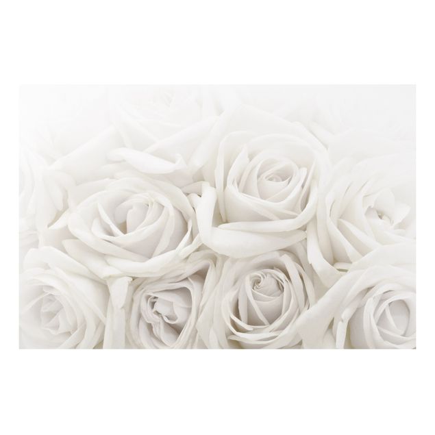 Quadros florais White Roses