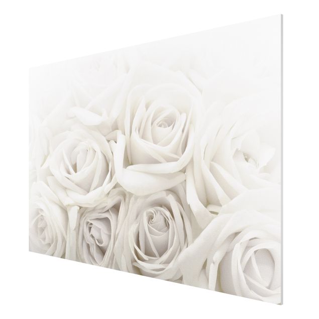 quadro com flores White Roses