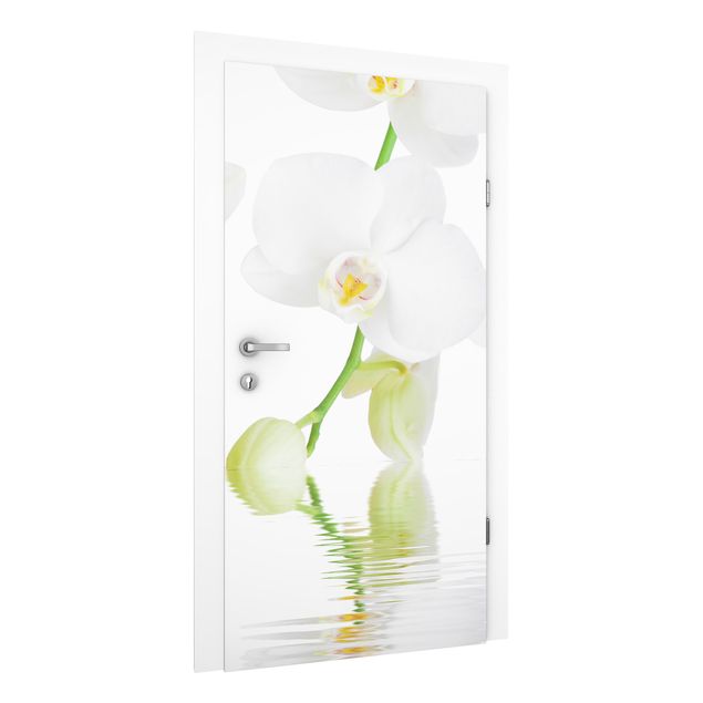 decoraçao cozinha Spa Orchid - White Orchid
