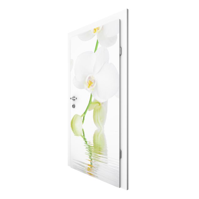 papel de parede moderno para sala Spa Orchid - White Orchid