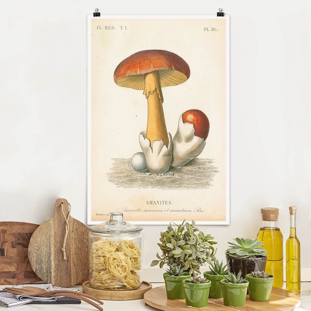 decoraçao cozinha French Mushrooms