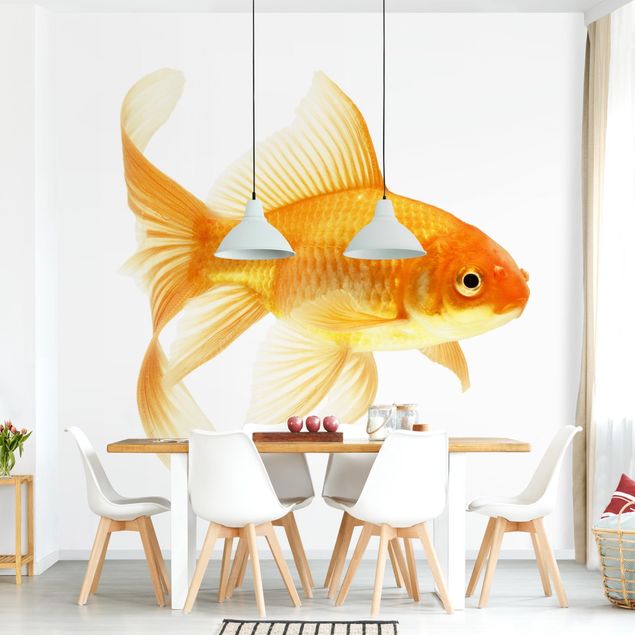 papel de parede com peixe Ms Goldfish