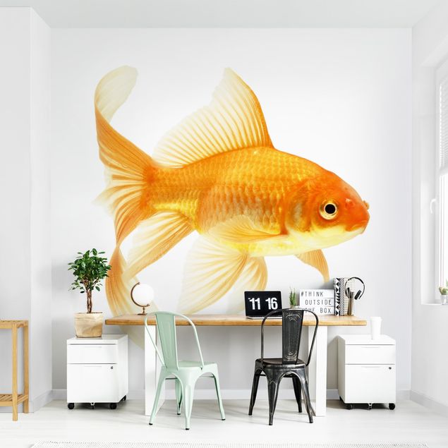 papel de parede moderno para sala Ms Goldfish