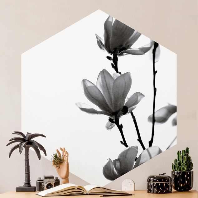 papel de parede moderno Herald Of Spring Magnolia Black And White