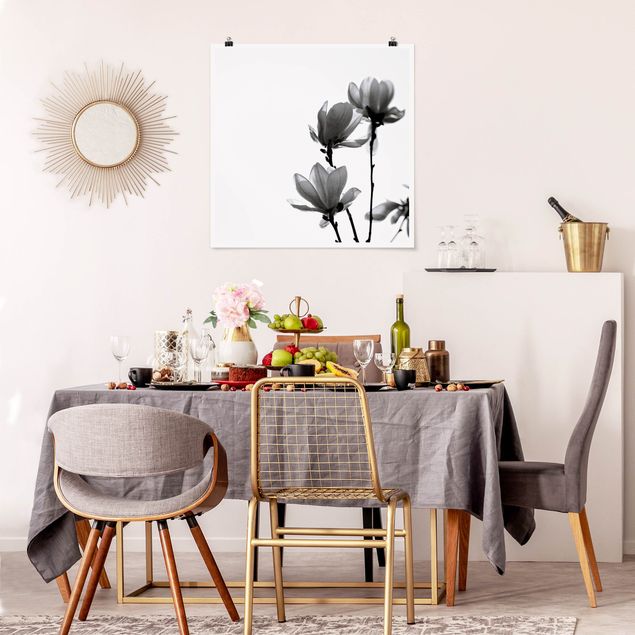 Posters flores Herald Of Spring Magnolia Black And White