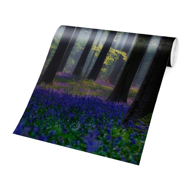 Papel de parede verde Spring Day In The Forest