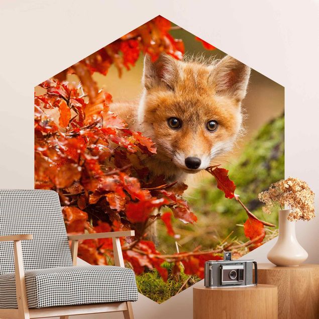 Papel de parede florestas Fox In Autumn