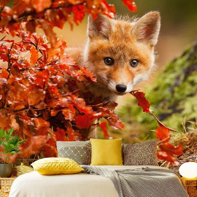 papel de parede moderno para sala Fox In Autumn