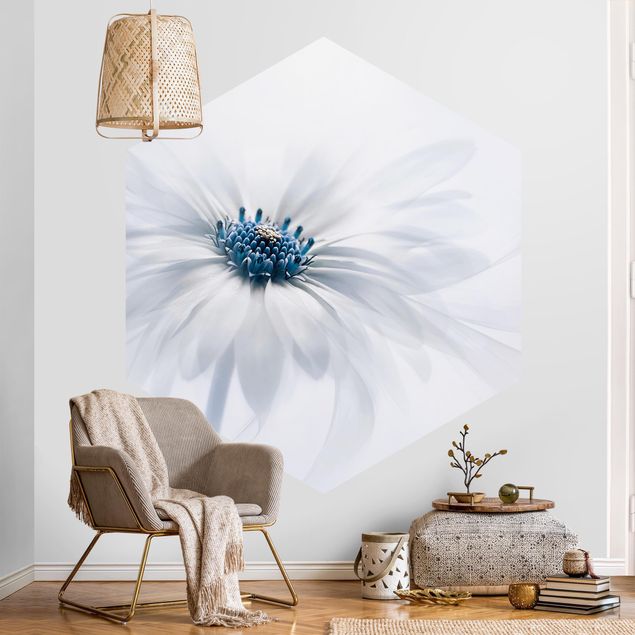 papel de parede floral Daisy In Blue