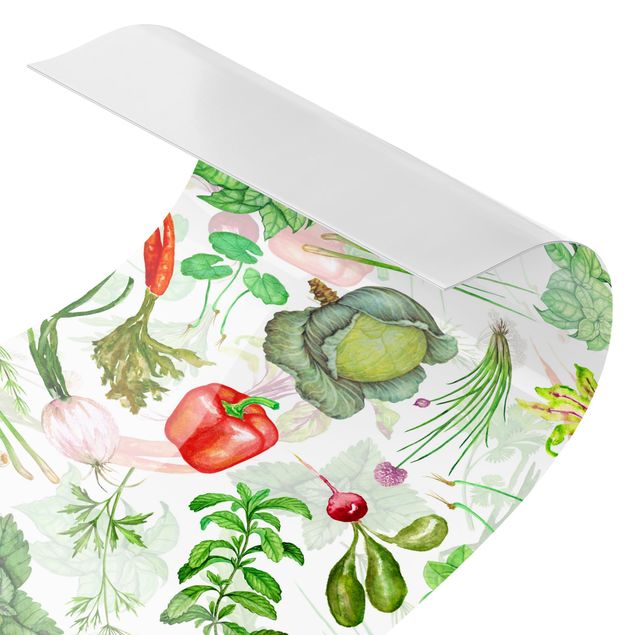 revestimento parede cozinha Vegetables And Herbs Illustration