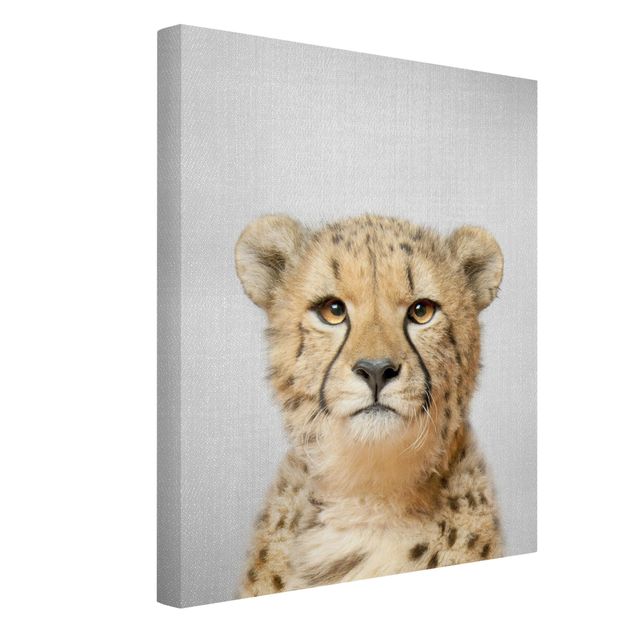 Telas decorativas animais Cheetah Gerald