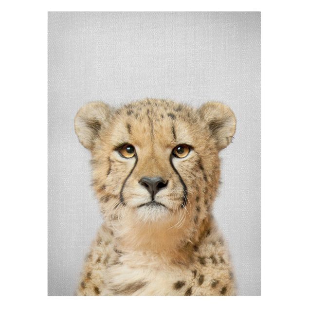 Quadros modernos Cheetah Gerald