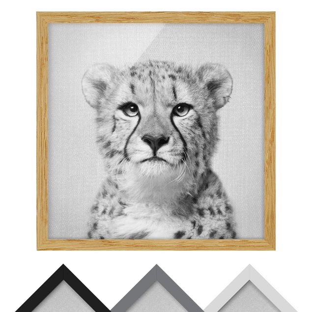quadros para parede Cheetah Gerald Black And White