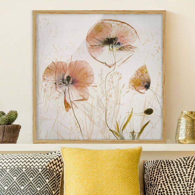 Quadros papoilas Dried Poppy Flowers With Delicate Grasses