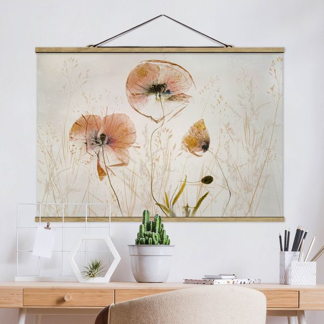 Quadros papoilas Dried Poppy Flowers With Delicate Grasses